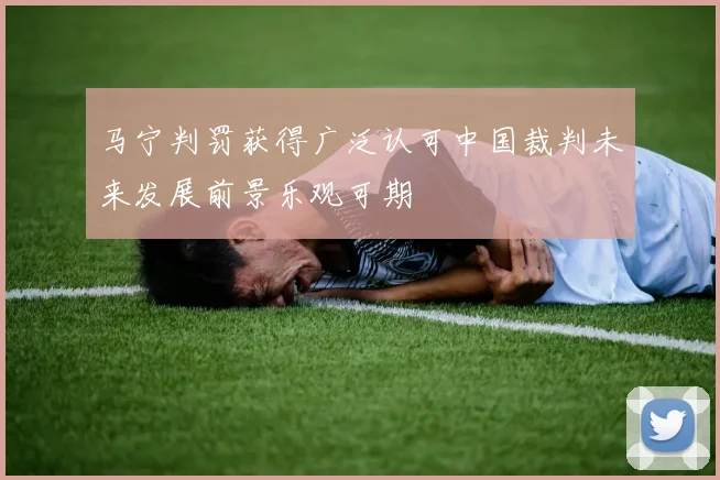 马宁判罚获得广泛认可中国裁判未来发展前景乐观可期